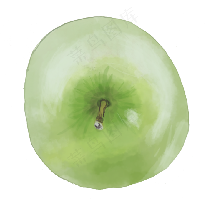 手绘水彩青苹果png(2000X2000(DPI:300))psd模版下载