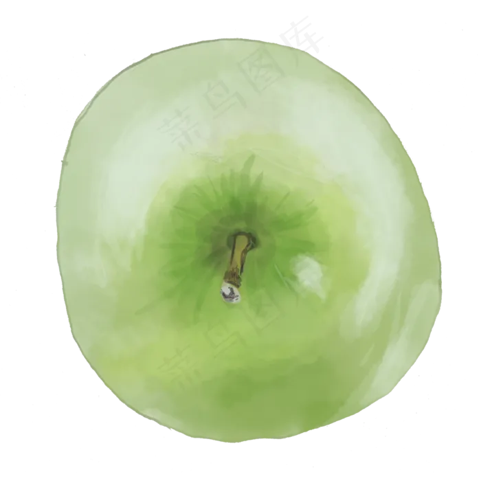 手绘水彩青苹果png(2000X2000(DPI:300))psd模版下载