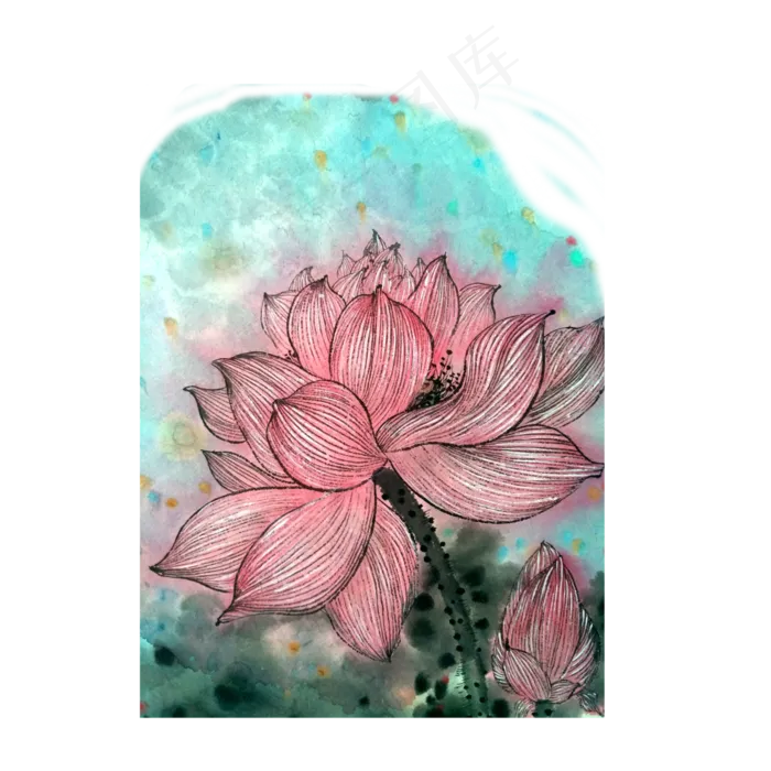 荷花莲花工笔娇艳桃色PNG水墨(4000X4000(DPI:300))psd模版下载