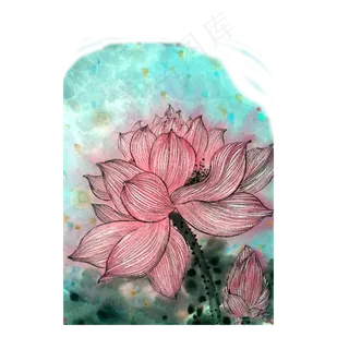 荷花莲花工笔娇艳桃色PNG水墨