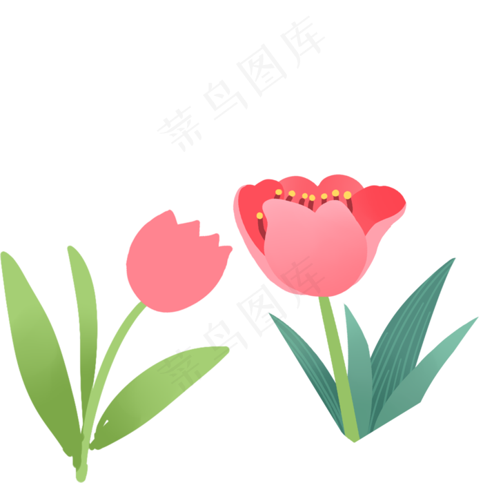 花朵春季自然植物