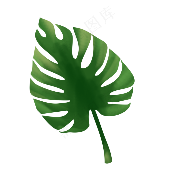 手绘绿叶插画元素可商用素材