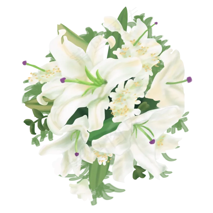 花卉百合七夕节情人节花束植物手,免抠元素