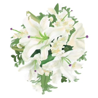花卉百合七夕节情人节花束植物手,免抠元素