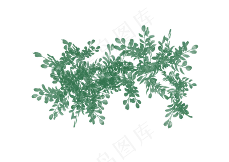 绿色叶子枝条元素