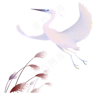 飞翔白鹭,免抠元素