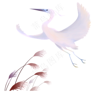 飞翔白鹭,免抠元素