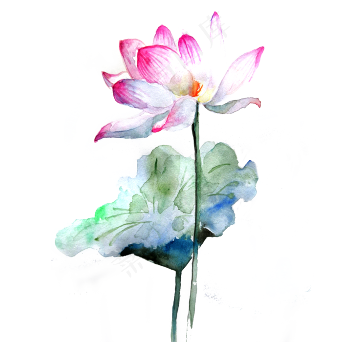 荷花莲花水墨国画PNG荷叶熏染