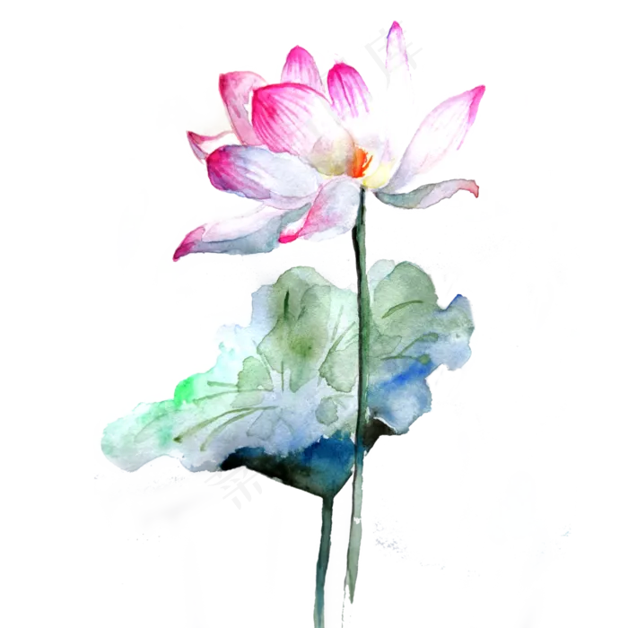 荷花莲花水墨国画PNG荷叶熏染(3000X3000(DPI:300))psd模版下载