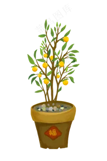 春节贺新年简约风格金桔插图装饰,免抠元素