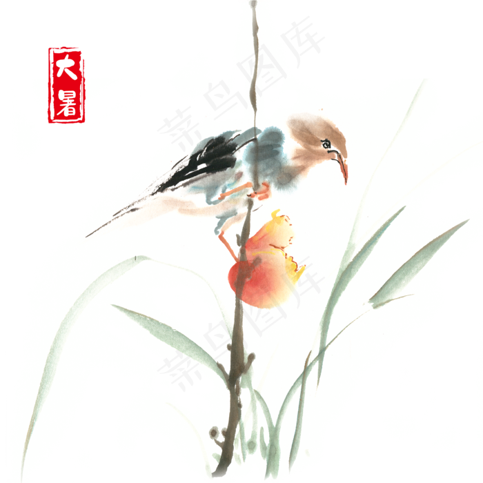 大暑啄食水果的小鸟(4724X4724(DPI:300))psd模版下载