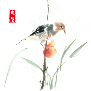 大暑啄食水果的小鸟