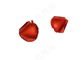 红色玫瑰花瓣矢量图