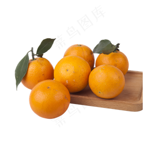 橙子实拍（png免抠）