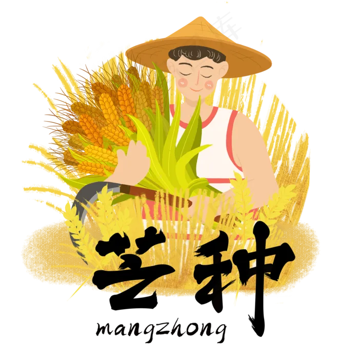 芒种收割小麦农民(2000X2000(DPI:300))psd模版下载