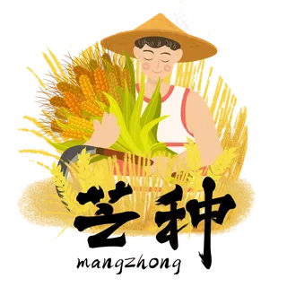 芒种收割小麦农民 芒种收割小麦农民