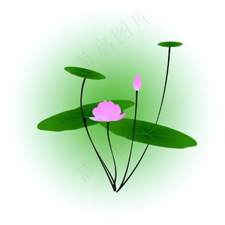 夏日荷花清新精美