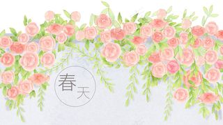 手绘春天小清新花朵