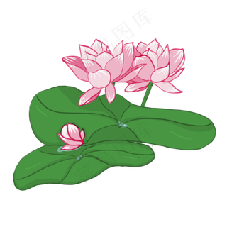 手绘中国风荷花PNG素材