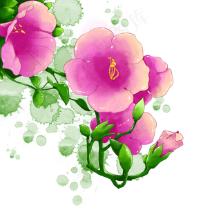 水彩花藤花枝