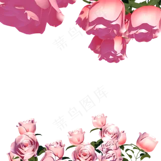 红色玫瑰花边框