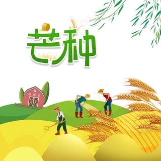 金黄色芒种节气