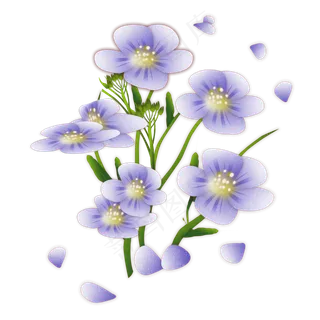 亚麻籽花 亚麻籽花