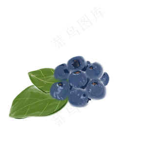 一把蓝莓免抠插图