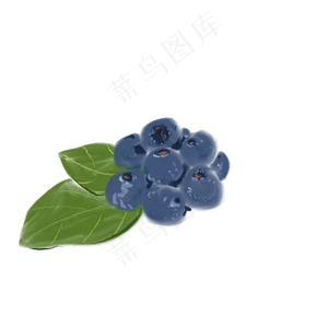 一把蓝莓免抠插图