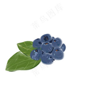 一把蓝莓免抠插图