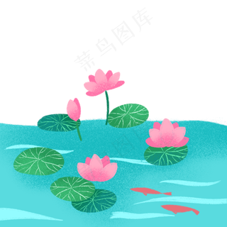 夏日小清新荷花池塘