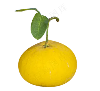 水果柚子一个 水果柚子一个