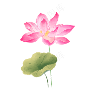 中国风荷花水彩画