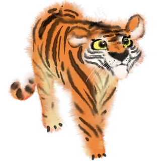 水彩动物手绘老虎PNG