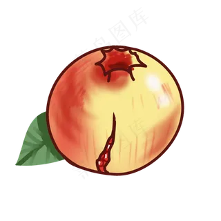 成熟欲裂的大石榴