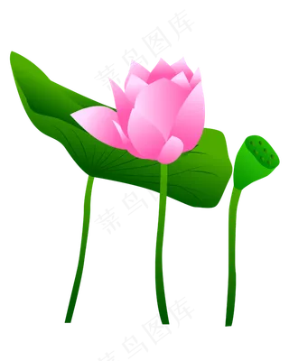 卡通粉色莲花免扣