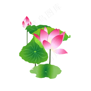 卡通粉色莲花免扣