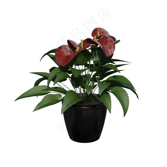 黑色花盆红掌绿植(3000X3000(DPI:72))psd模版下载
