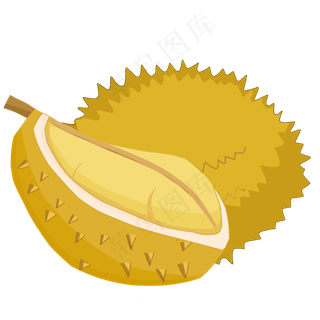 韶子水果之王榴莲