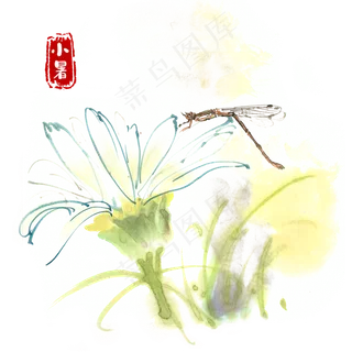 小暑花瓣上的豆娘水墨画