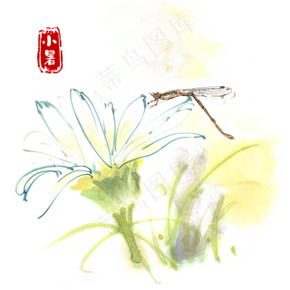 小暑花瓣上的豆娘水墨画