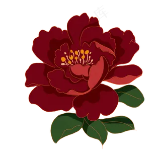中秋节复古梅红色金边牡丹花,免抠元素