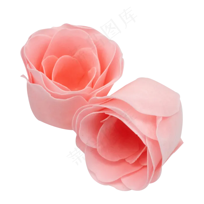 唯美玫瑰花朵(3000X2000(DPI:299))