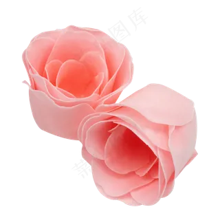 唯美玫瑰花朵