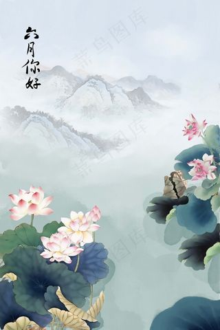 夏季池塘里盛开的荷花