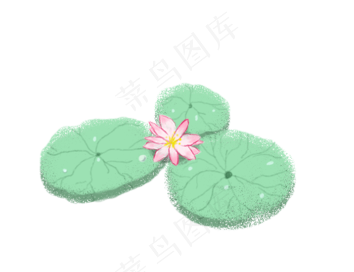 睡莲莲花(850X653(DPI:300))psd模版下载