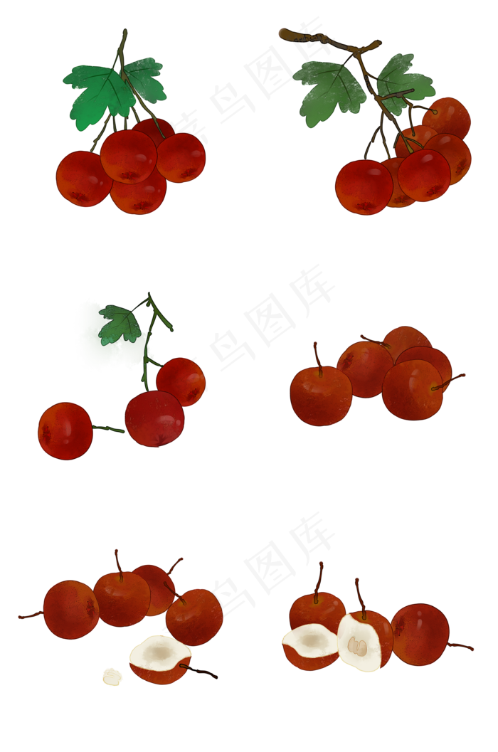 山楂合集水果食物PNG素材(2000X3020(DPI:300))psd模版下载