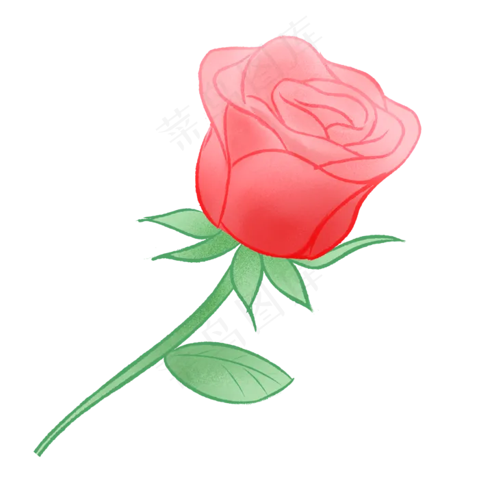 红玫瑰花朵花枝(2000X2000(DPI:300))psd模版下载