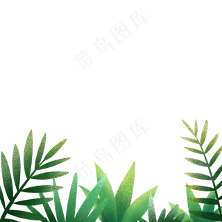 夏季植物装饰png免抠图