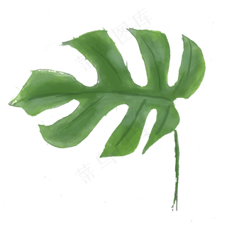 小清新夏天绿色叶子png